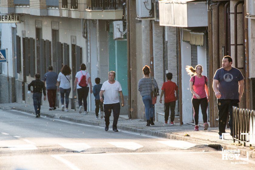 GALERÍA: Lucena sale tras 48 días de confinamiento. Las fotos de la vuelta a las calles GALERÍA: Lucena sale tras 48 días de confinamiento. Las fotos de la vuelta a las calles