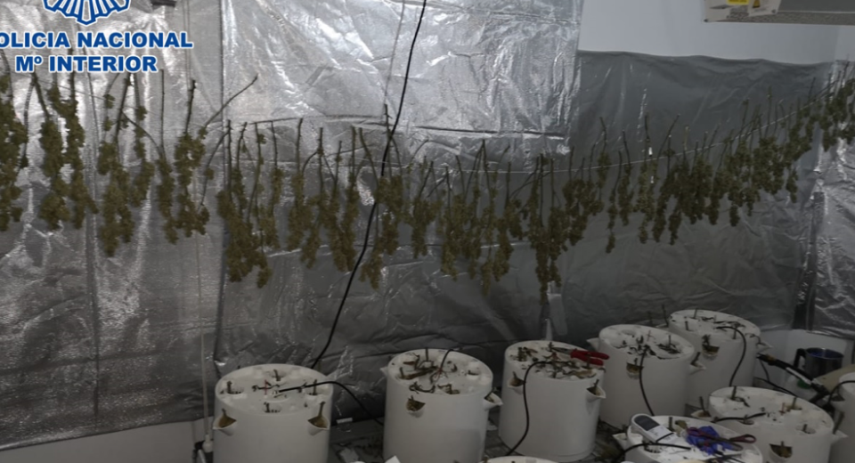  Imagen del secadero de marihuana desmantelado en Cabra 