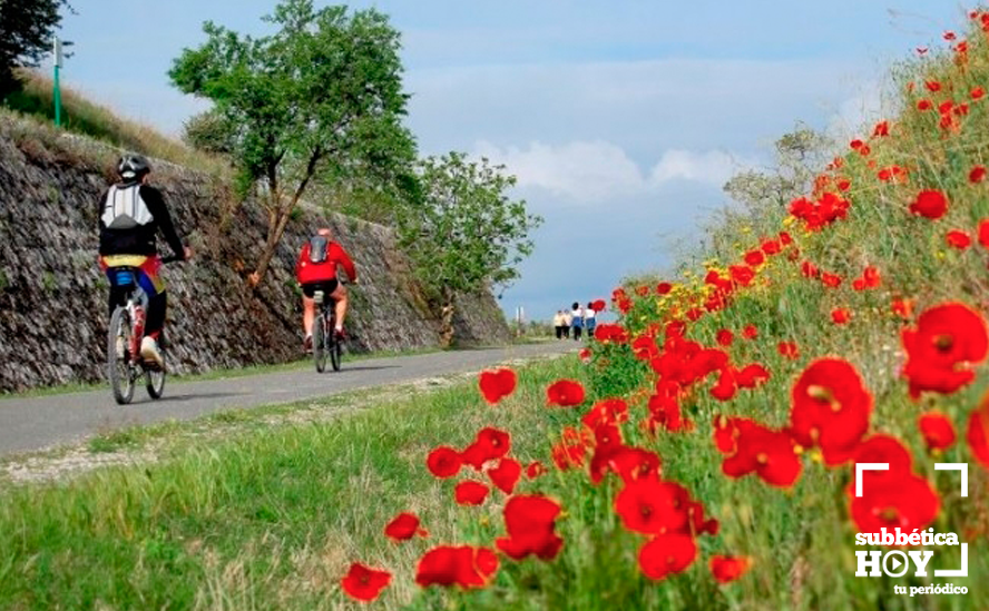  Amapolas al pie de la Vía Verde 