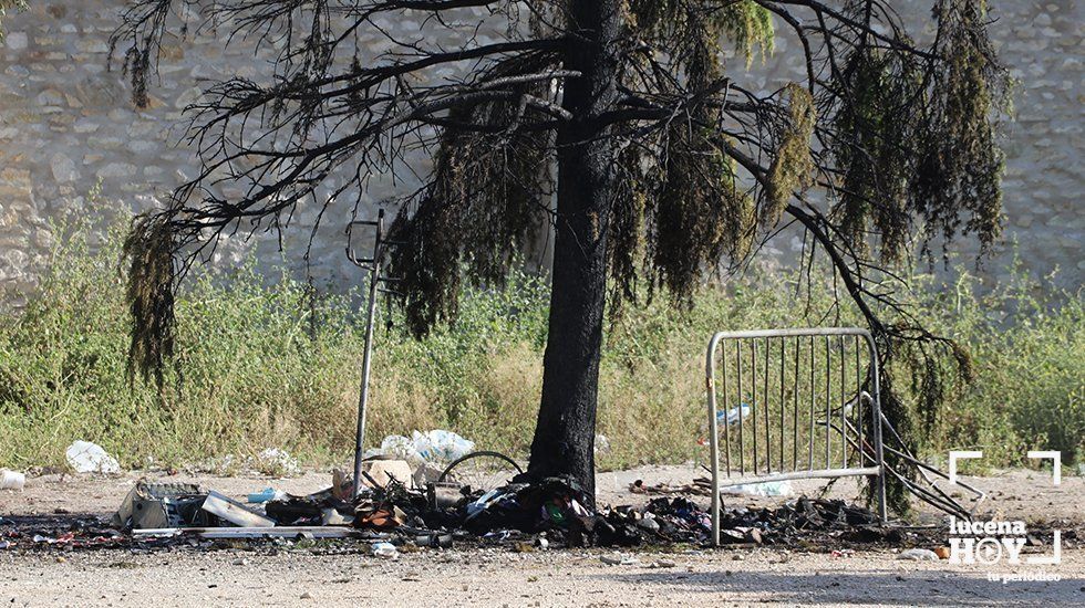  Restos del cobertizo y el pino inendiados esta mañana en la Huerta del Carmen 