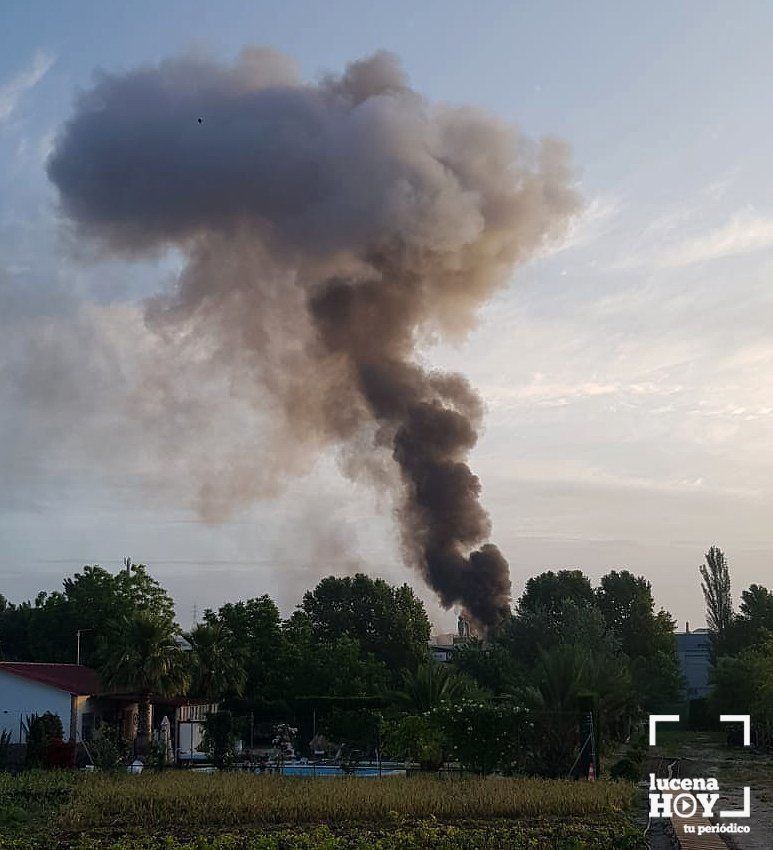 GALERÍA: Un incendio destruye las instalaciones de la empresa Ferroaras en el polígono de La Viñuela