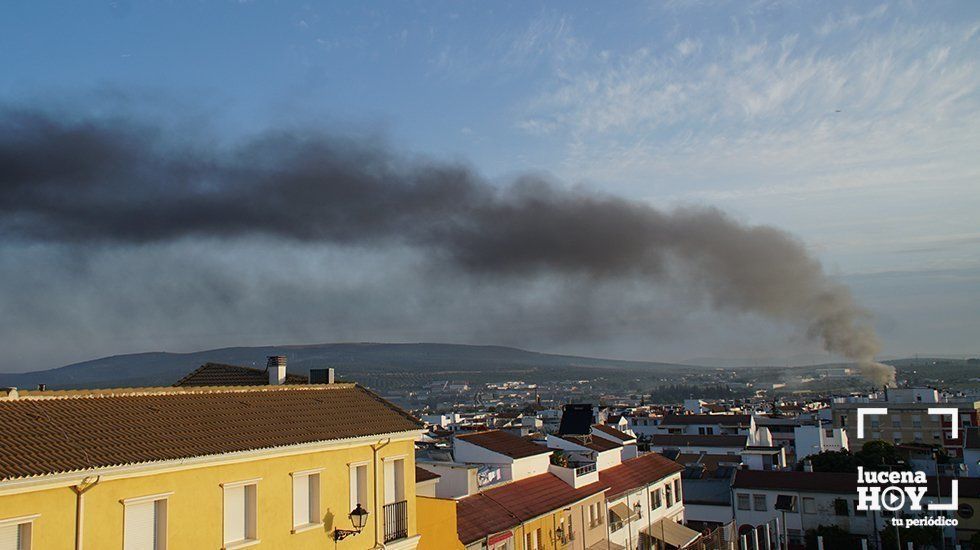 GALERÍA: Un incendio destruye las instalaciones de la empresa Ferroaras en el polígono de La Viñuela