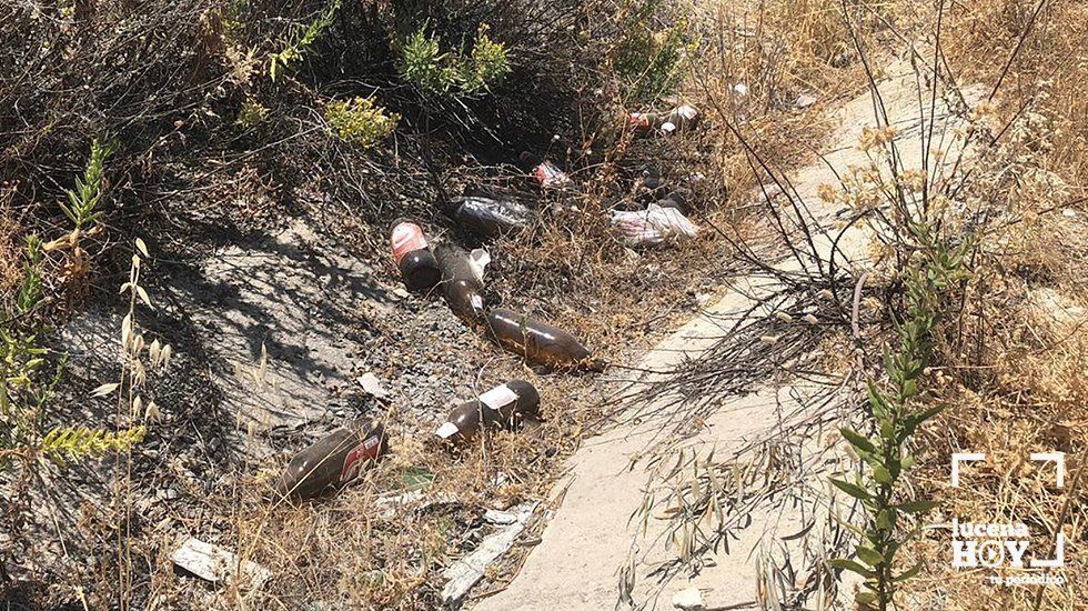  Botellas de cerveza arrojadas en la cuneta del arcen peatonal de la ronda sur 