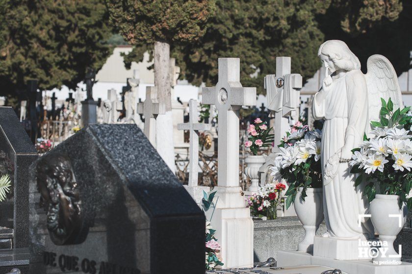 GALERÍA: Días de flores y recuerdo en los cementerios de Lucena GALERÍA: Días de flores y recuerdo en los cementerios de Lucena