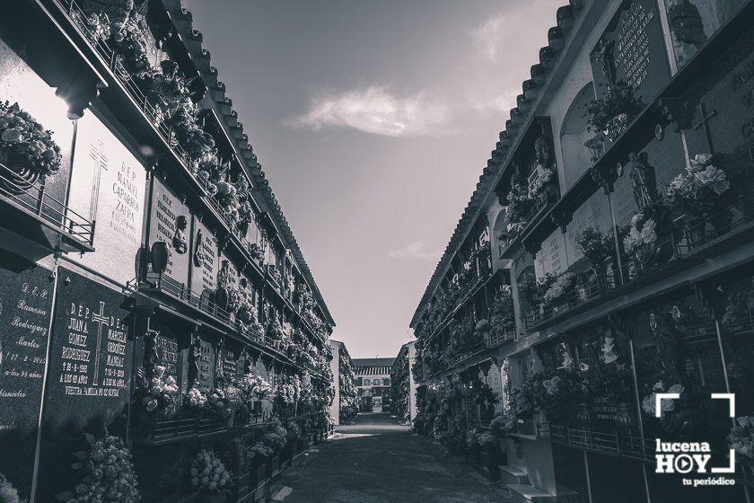 GALERÍA: Días de flores y recuerdo en los cementerios de Lucena