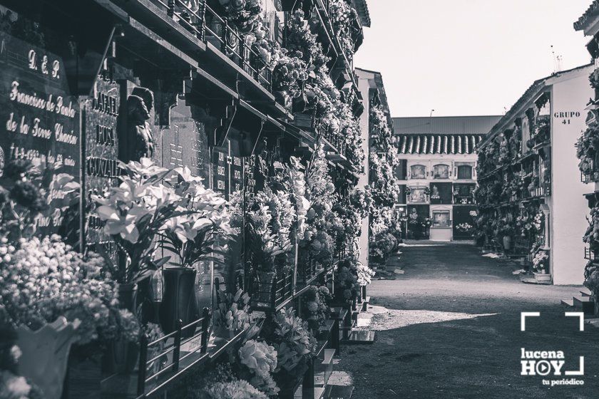 GALERÍA: Días de flores y recuerdo en los cementerios de Lucena GALERÍA: Días de flores y recuerdo en los cementerios de Lucena