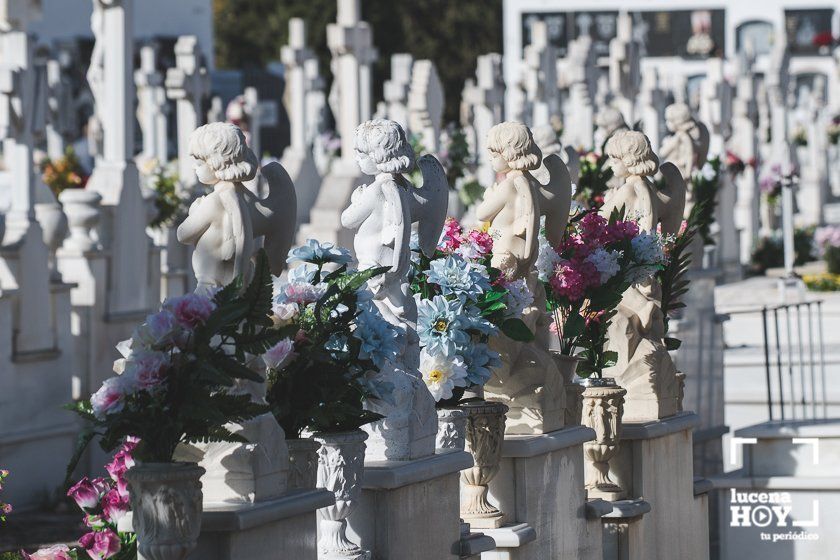 GALERÍA: Días de flores y recuerdo en los cementerios de Lucena GALERÍA: Días de flores y recuerdo en los cementerios de Lucena