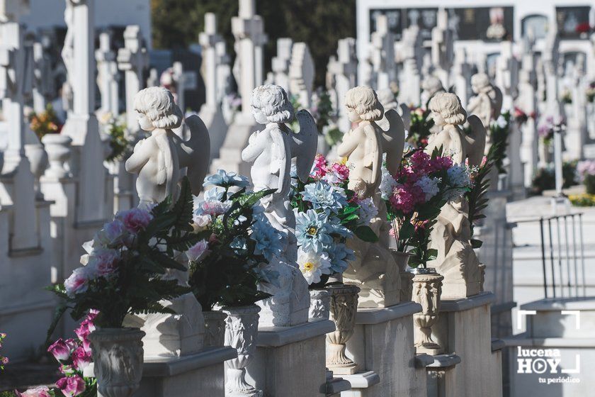 GALERÍA: Días de flores y recuerdo en los cementerios de Lucena