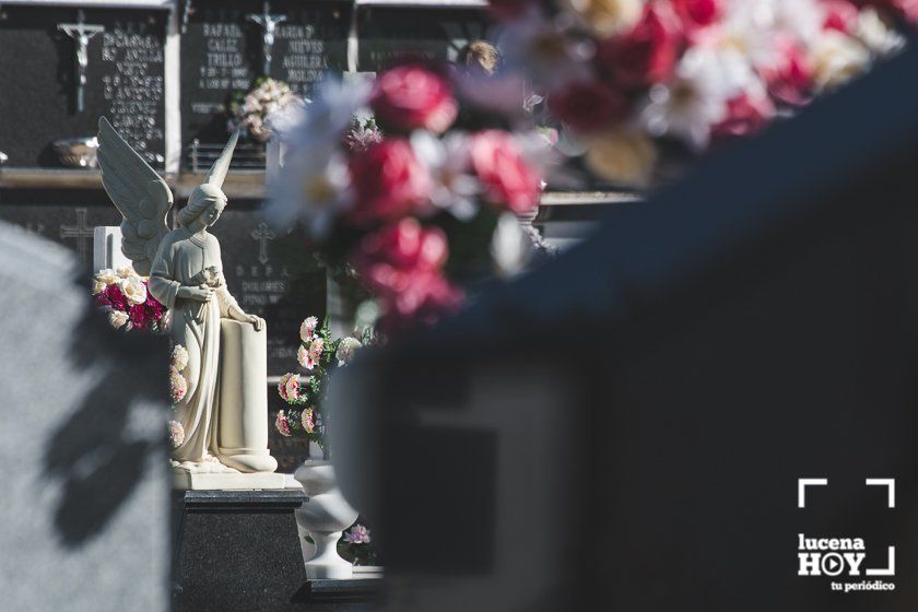 GALERÍA: Días de flores y recuerdo en los cementerios de Lucena