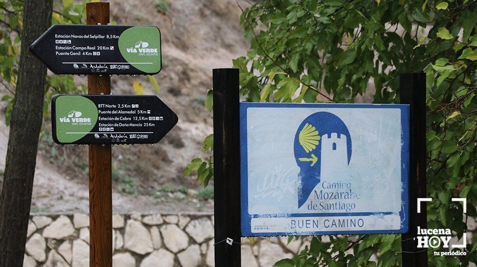 El proyecto permitirá actualizar la señalización de la ruta del Camino Mozárabe