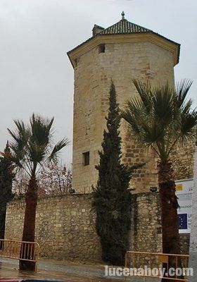  Palmeras para la plaza de Bécquer y el exterior del Castillo 