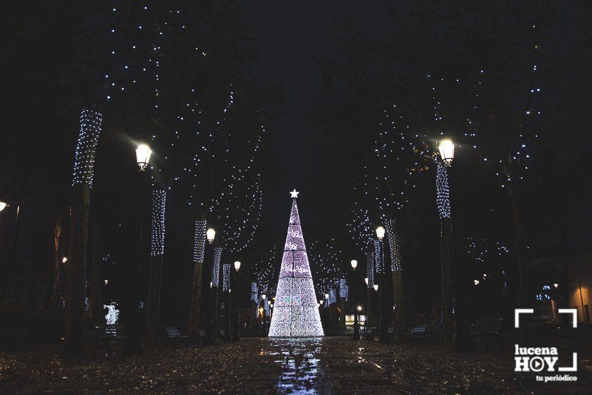 GALERÍA: Las luces navideñas llenan las calles de Lucena por sorpresa y bajo la lluvia GALERÍA: Las luces navideñas llenan las calles de Lucena por sorpresa y bajo la lluvia