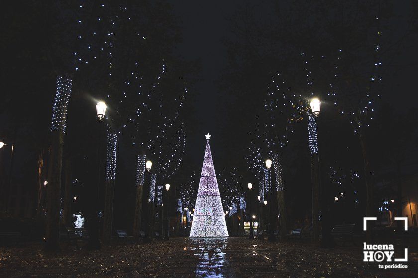 GALERÍA: Las luces navideñas llenan las calles de Lucena por sorpresa y bajo la lluvia