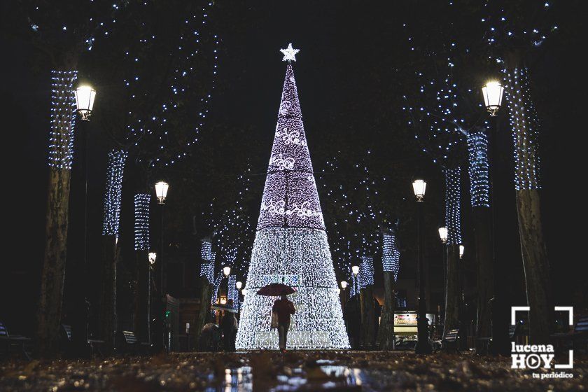 GALERÍA: Las luces navideñas llenan las calles de Lucena por sorpresa y bajo la lluvia GALERÍA: Las luces navideñas llenan las calles de Lucena por sorpresa y bajo la lluvia