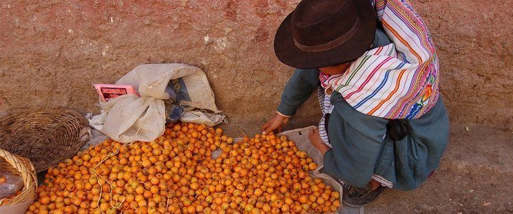  Manos Unidas recaudará 42.983€ para un dispensario en India 