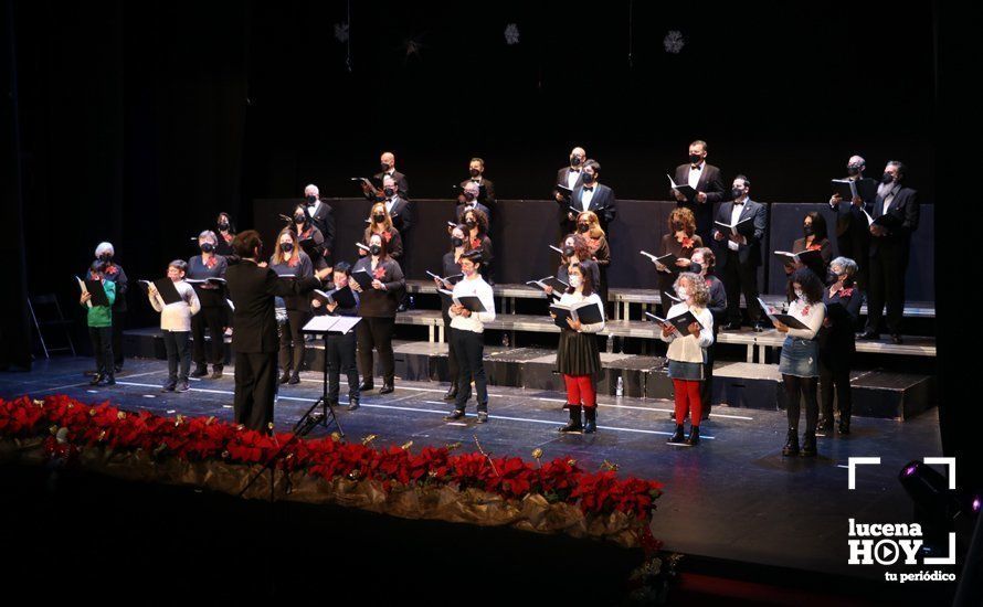 GALERÍA: La Coral Lucentina adapta su tradicional Concierto de Navidad a este tiempo de pandemia GALERÍA: La Coral Lucentina adapta su tradicional Concierto de Navidad a este tiempo de pandemia