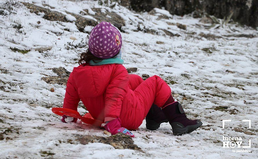 GALERÍA: Los últimos coletazos de Filomena tiñen de blanco la sierra de Cabra