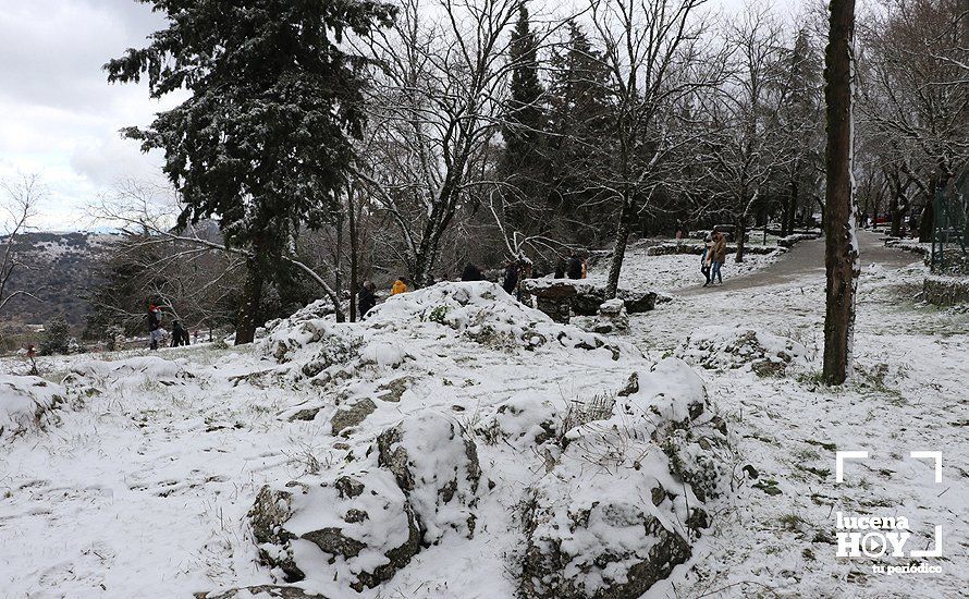 GALERÍA: Los últimos coletazos de Filomena tiñen de blanco la sierra de Cabra