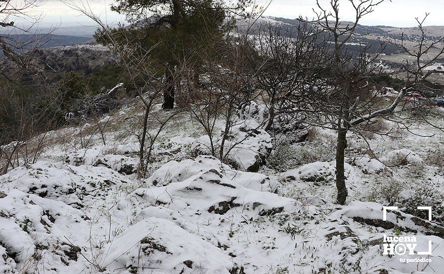GALERÍA: Los últimos coletazos de Filomena tiñen de blanco la sierra de Cabra