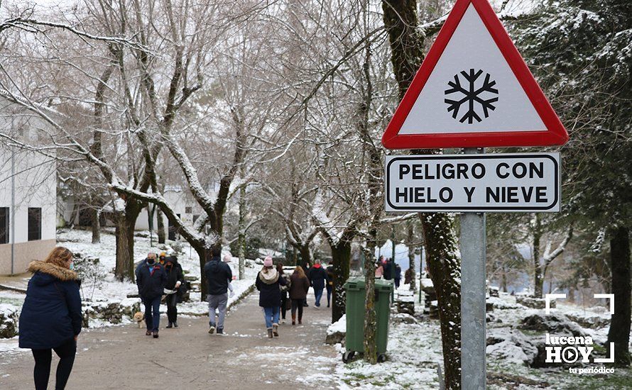 GALERÍA: Los últimos coletazos de Filomena tiñen de blanco la sierra de Cabra