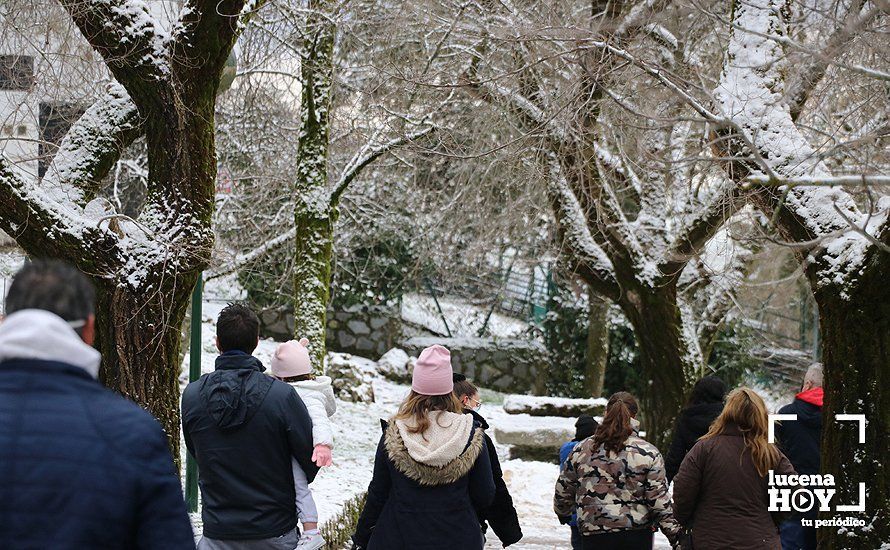 GALERÍA: Los últimos coletazos de Filomena tiñen de blanco la sierra de Cabra