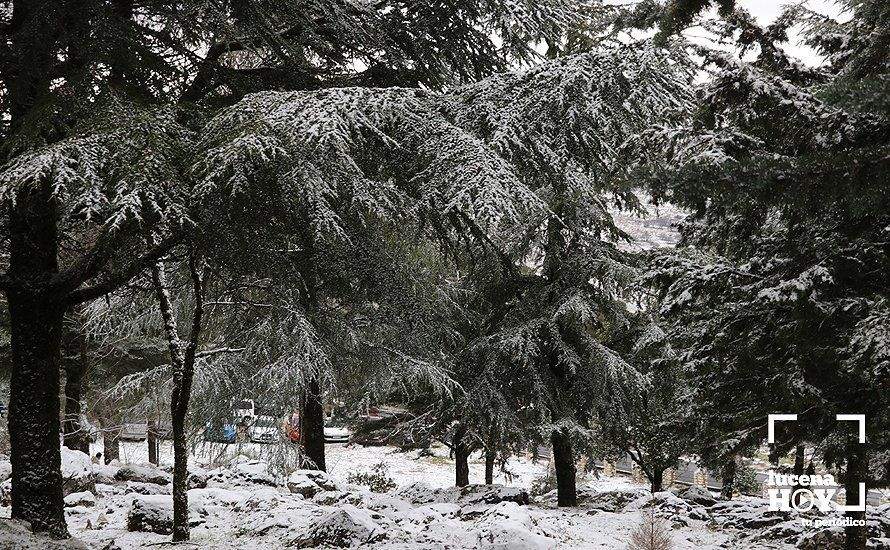 GALERÍA: Los últimos coletazos de Filomena tiñen de blanco la sierra de Cabra