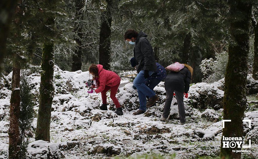 GALERÍA: Los últimos coletazos de Filomena tiñen de blanco la sierra de Cabra