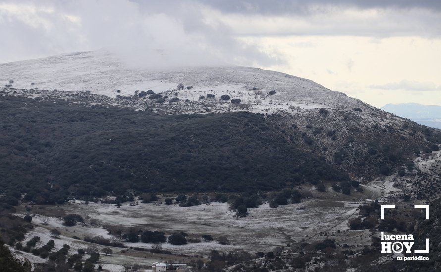 GALERÍA: Los últimos coletazos de Filomena tiñen de blanco la sierra de Cabra