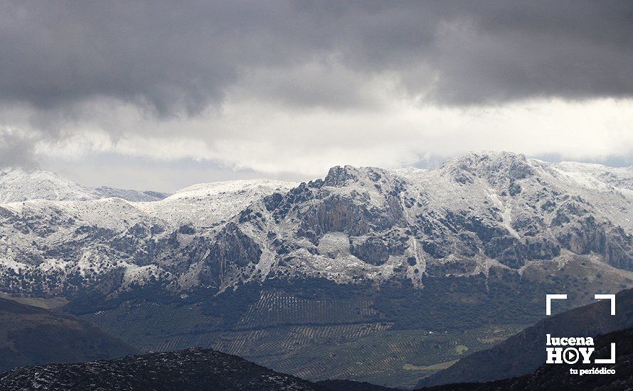 GALERÍA: Los últimos coletazos de Filomena tiñen de blanco la sierra de Cabra