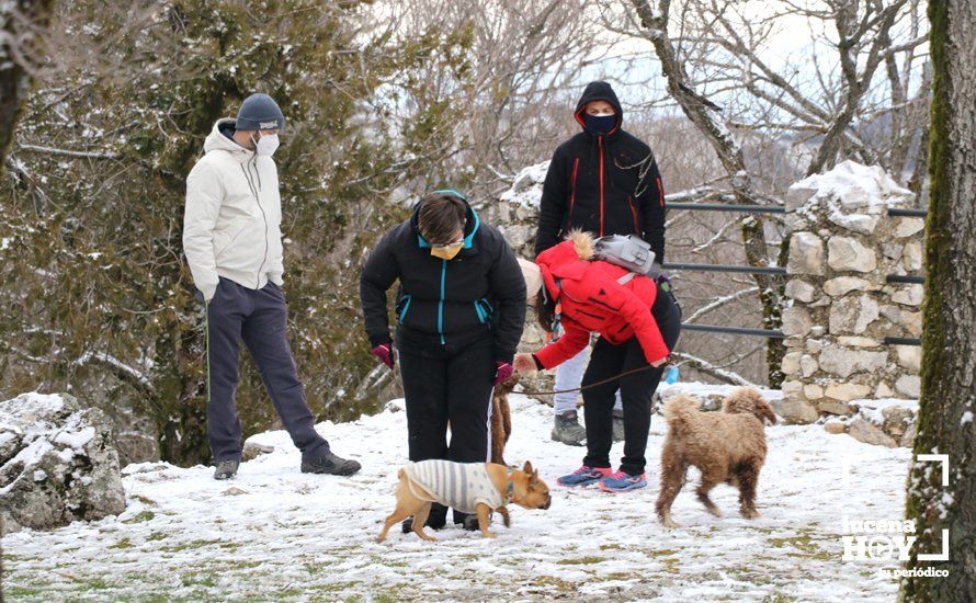 GALERÍA: Los últimos coletazos de Filomena tiñen de blanco la sierra de Cabra GALERÍA: Los últimos coletazos de Filomena tiñen de blanco la sierra de Cabra