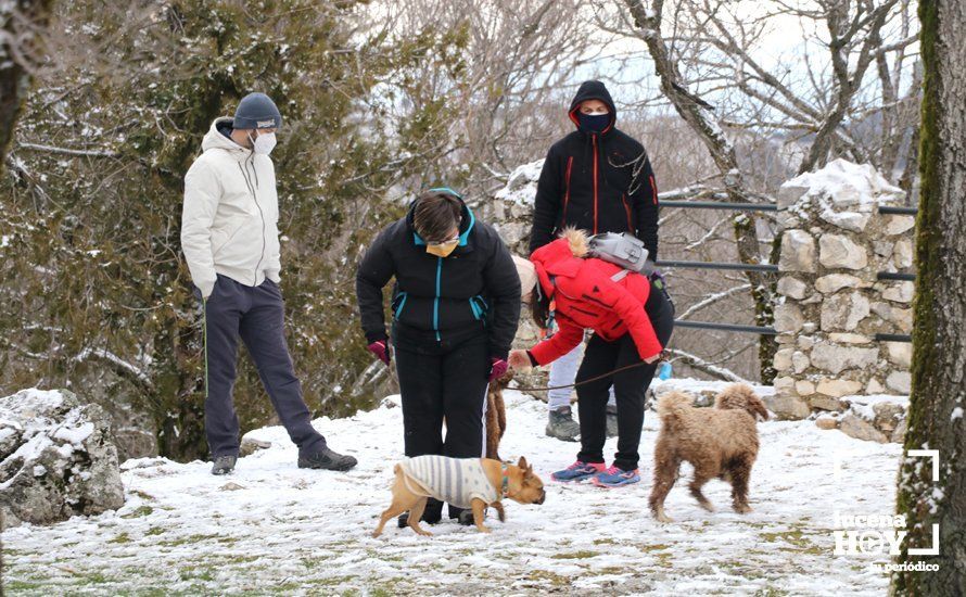 GALERÍA: Los últimos coletazos de Filomena tiñen de blanco la sierra de Cabra