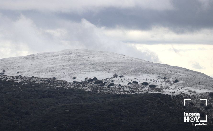 GALERÍA: Los últimos coletazos de Filomena tiñen de blanco la sierra de Cabra