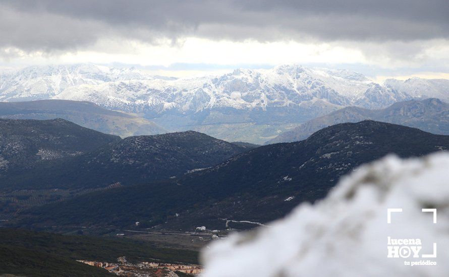 GALERÍA: Los últimos coletazos de Filomena tiñen de blanco la sierra de Cabra