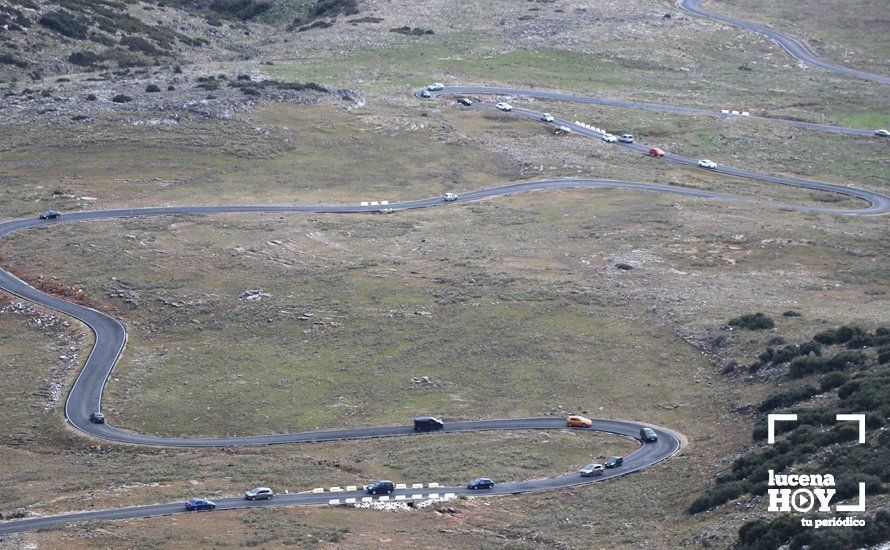 GALERÍA: Los últimos coletazos de Filomena tiñen de blanco la sierra de Cabra