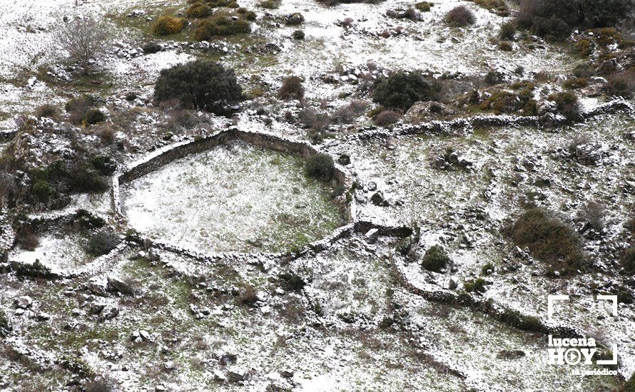 GALERÍA: Los últimos coletazos de Filomena tiñen de blanco la sierra de Cabra