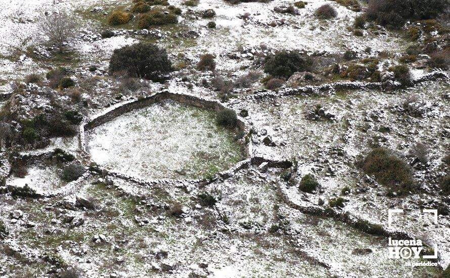 GALERÍA: Los últimos coletazos de Filomena tiñen de blanco la sierra de Cabra GALERÍA: Los últimos coletazos de Filomena tiñen de blanco la sierra de Cabra
