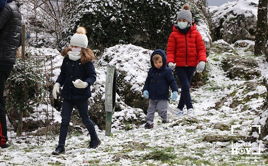 GALERÍA: Los últimos coletazos de Filomena tiñen de blanco la sierra de Cabra GALERÍA: Los últimos coletazos de Filomena tiñen de blanco la sierra de Cabra