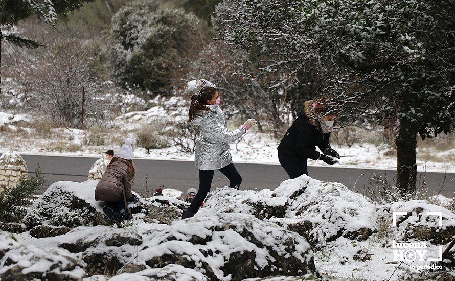 GALERÍA: Los últimos coletazos de Filomena tiñen de blanco la sierra de Cabra