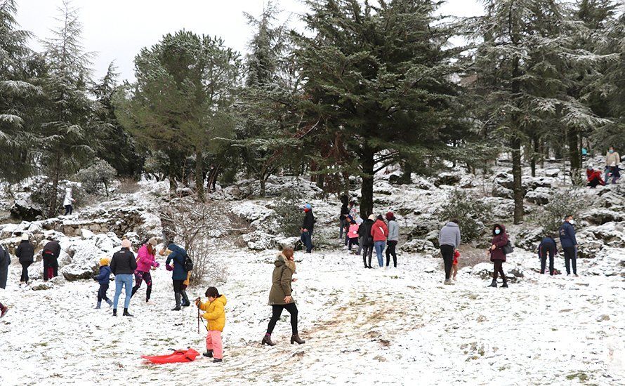 GALERÍA: Los últimos coletazos de Filomena tiñen de blanco la sierra de Cabra GALERÍA: Los últimos coletazos de Filomena tiñen de blanco la sierra de Cabra