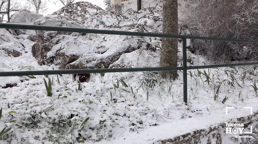 GALERÍA: Los últimos coletazos de Filomena tiñen de blanco la sierra de Cabra