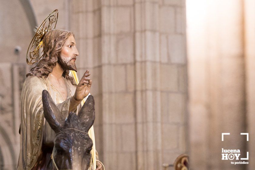 GALERÍA: Las imágenes del Acto de veneración a Ntro. Padre Jesús en su Entrada Triunfal en Jerusalén en San Mateo GALERÍA: Las imágenes del Acto de veneración a Ntro. Padre Jesús en su Entrada Triunfal en Jerusalén en San Mateo