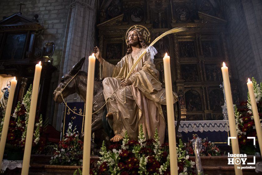 GALERÍA: Las imágenes del Acto de veneración a Ntro. Padre Jesús en su Entrada Triunfal en Jerusalén en San Mateo