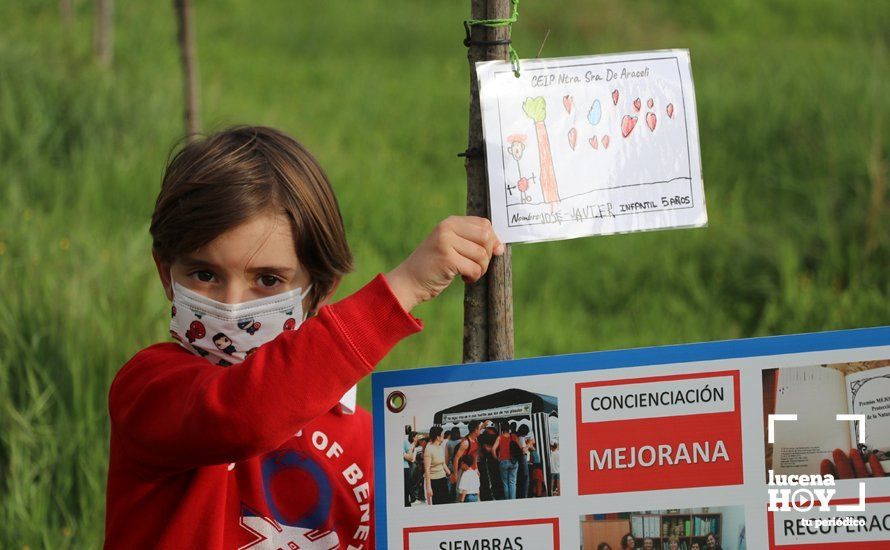 GALERÍA: Escolares del colegio Virgen de Araceli decoran con sus dibujos los árboles plantados por Mejorana en la Vía Verde