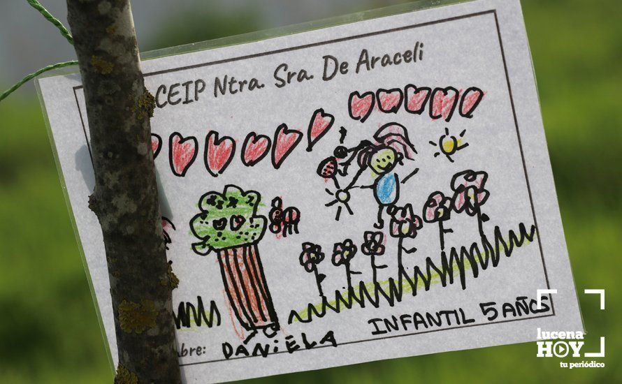 GALERÍA: Escolares del colegio Virgen de Araceli decoran con sus dibujos los árboles plantados por Mejorana en la Vía Verde