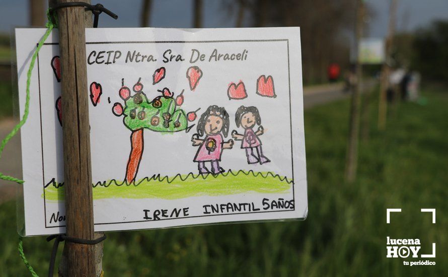GALERÍA: Escolares del colegio Virgen de Araceli decoran con sus dibujos los árboles plantados por Mejorana en la Vía Verde