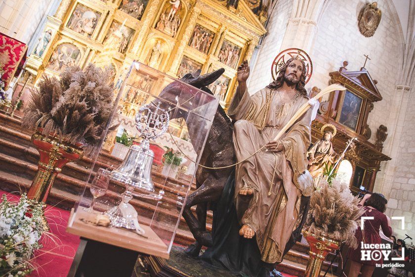 GALERÍA: Semana Santa 2021: Las imágenes del Domingo de Ramos en Lucena GALERÍA: Semana Santa 2021: Las imágenes del Domingo de Ramos en Lucena