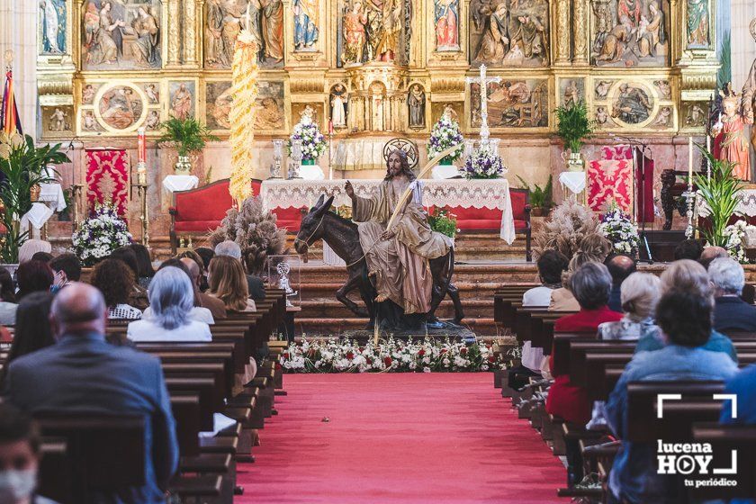 GALERÍA: Semana Santa 2021: Las imágenes del Domingo de Ramos en Lucena GALERÍA: Semana Santa 2021: Las imágenes del Domingo de Ramos en Lucena