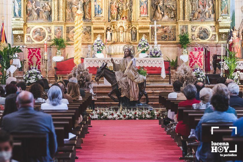 GALERÍA: Semana Santa 2021: Las imágenes del Domingo de Ramos en Lucena