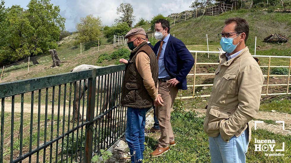  Un momento de la visita del delegado de Agricultura, Ganadería y Pesca, Juan Ramón Pérez, a la explotación equina Gonzalo Valenzuela en Cabra 