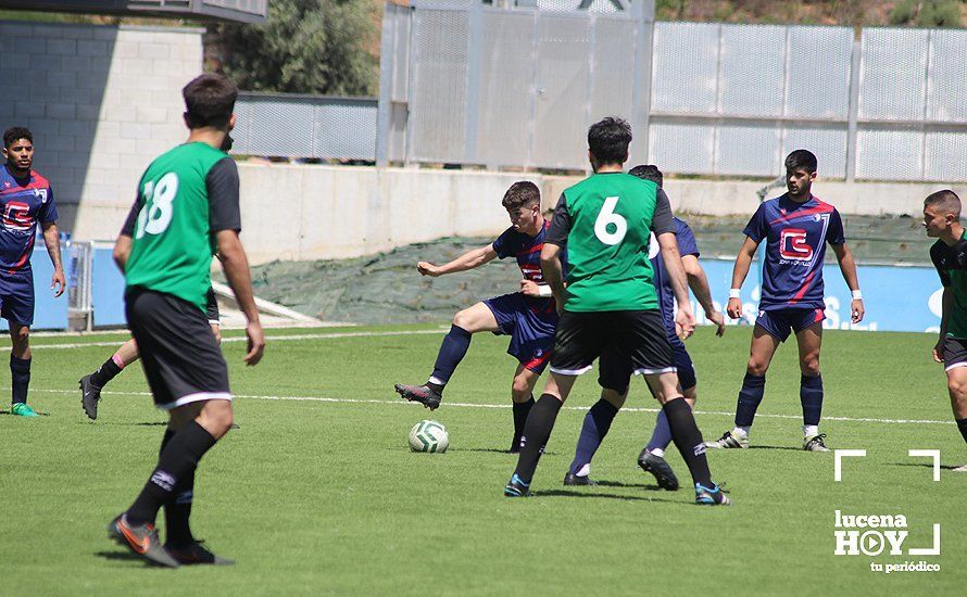 GALERÍA: El Lucecor no pasa del empate ante el Bujalance (1-1), Las fotos del partido